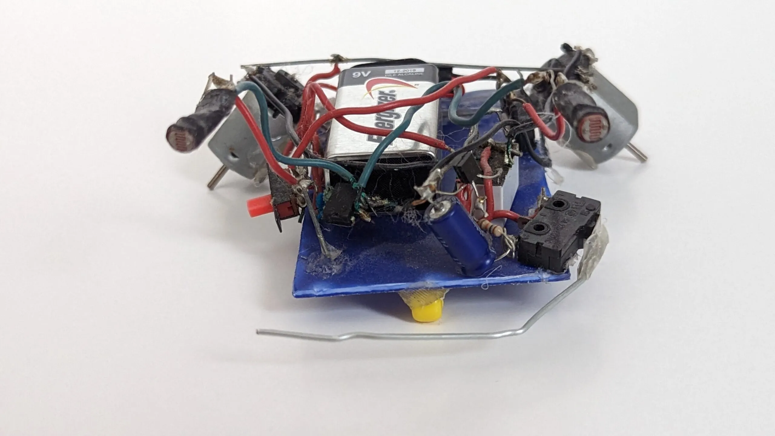 Herbie face on: photoresistor eyes at the ends of outstretched motors, whisker sweeping ahead.