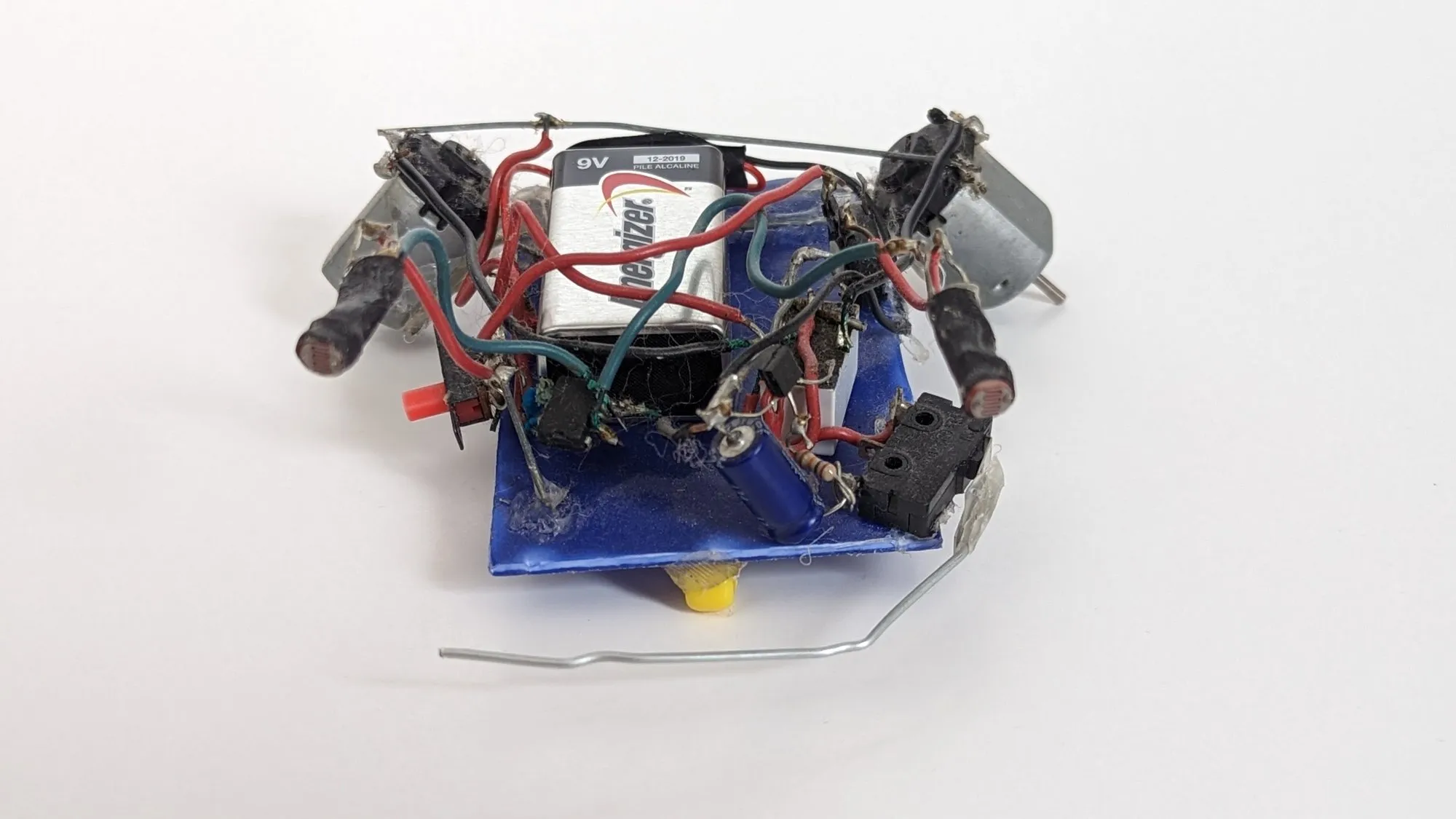 Herbie head on at table level: motors out like arms, the whisker wire sweeping the table ahead of the blue chassis.