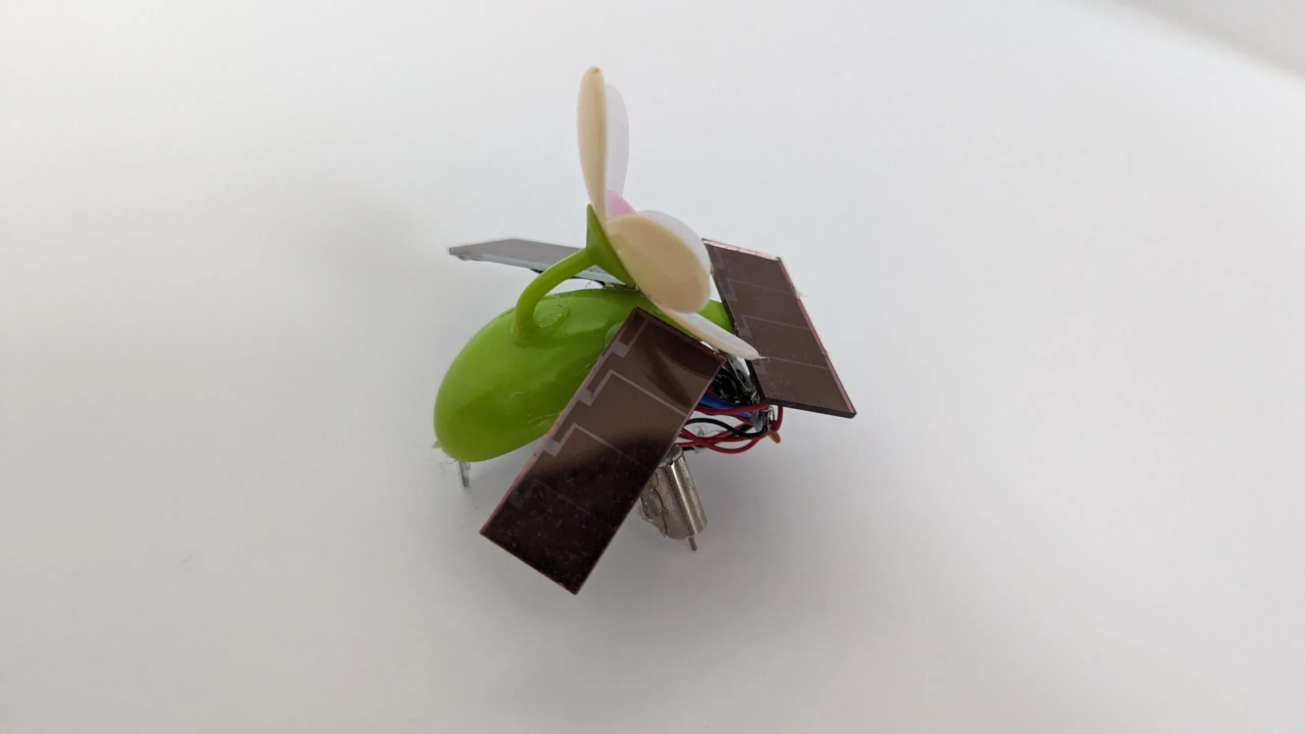 SymFlower v2 from behind: the green pod body carrying stem, wings, and motor feet.