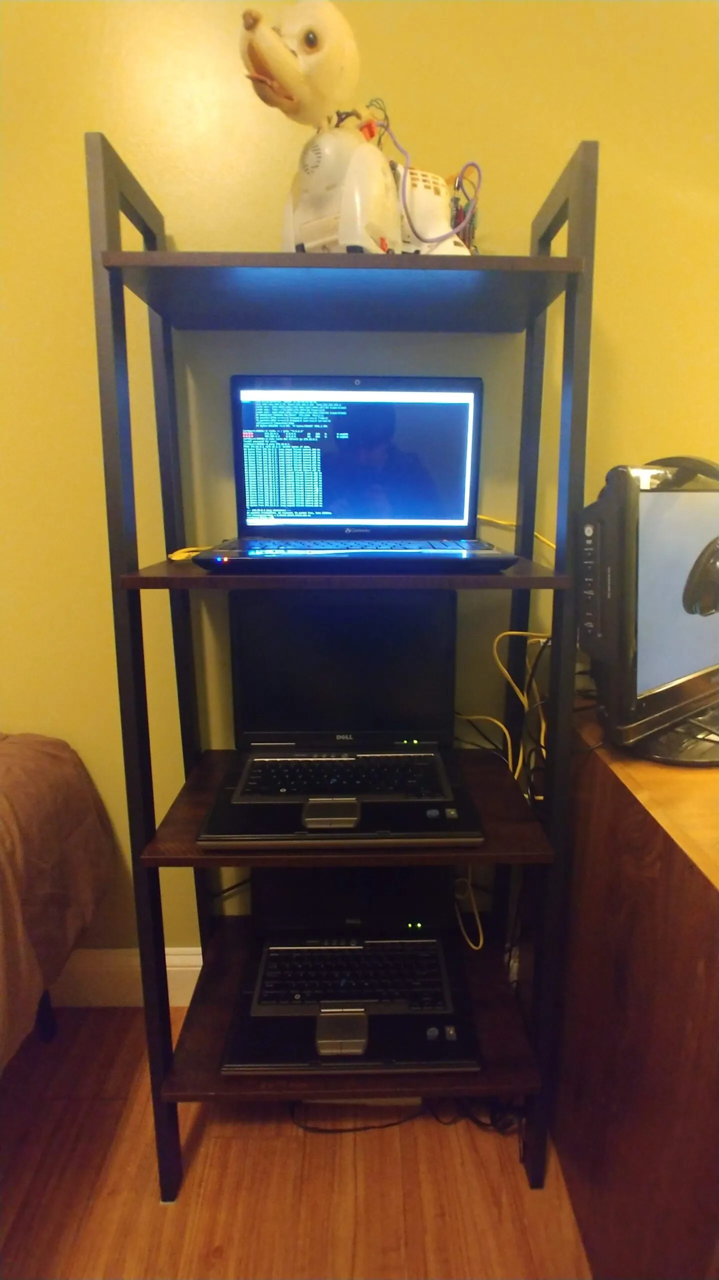 Three laptops stacked on bookcase shelves wired into a makeshift server rack, with Bubbles the robot dog perched on the top shelf.