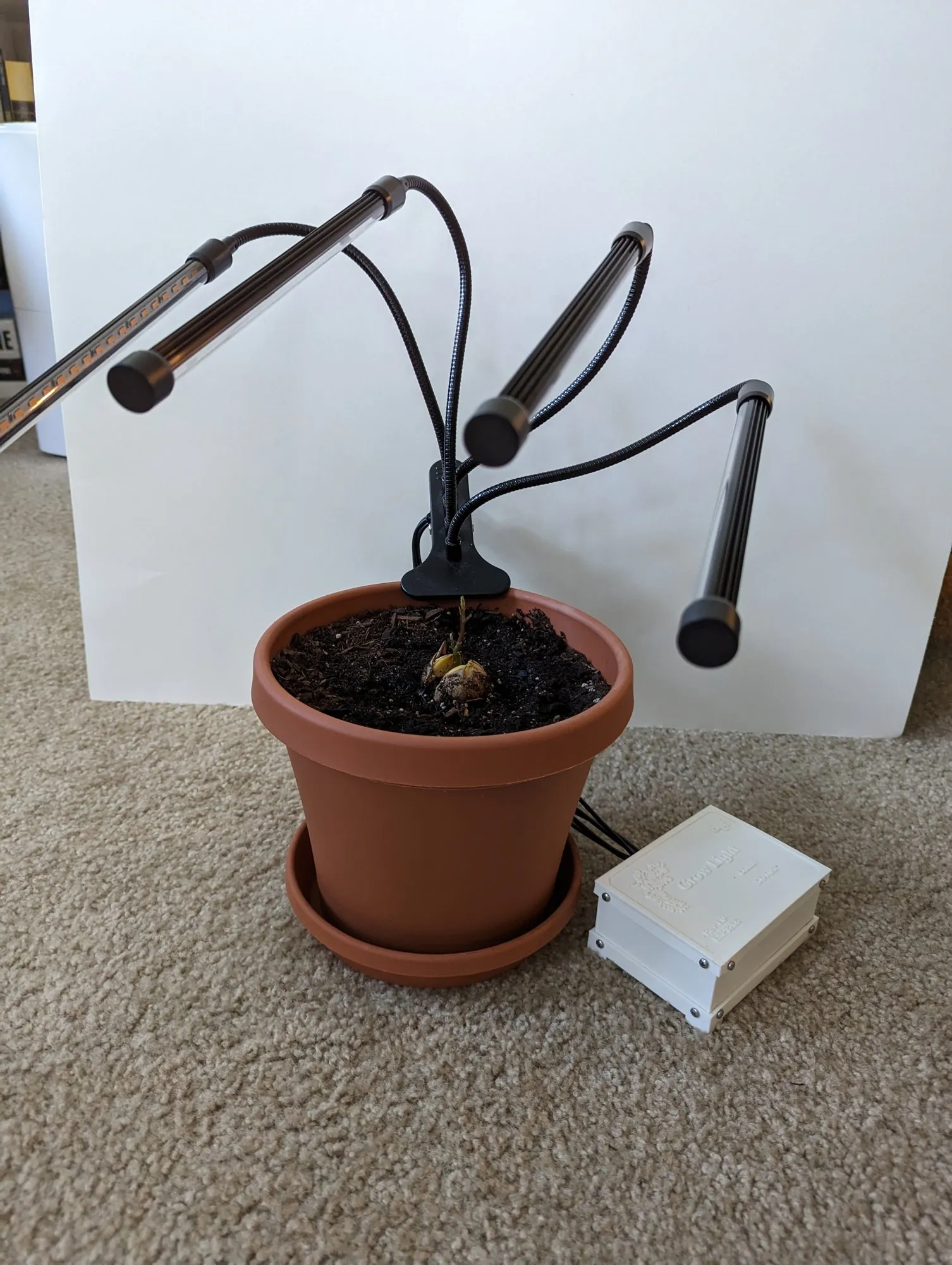 The same grow light from a lower angle, the arms fanned out over the pot.