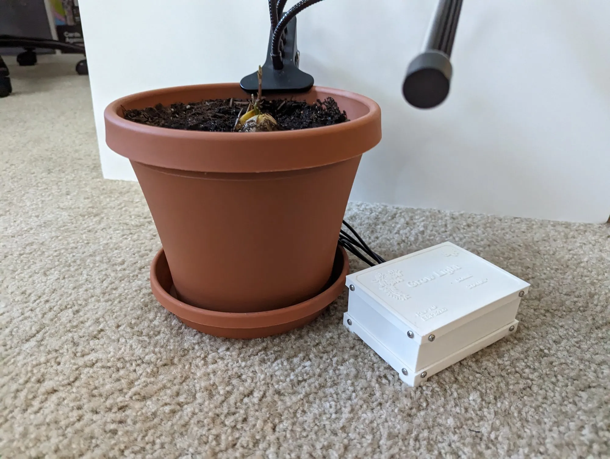 Close on the pot and the white box, the arm tips hanging over the soil.