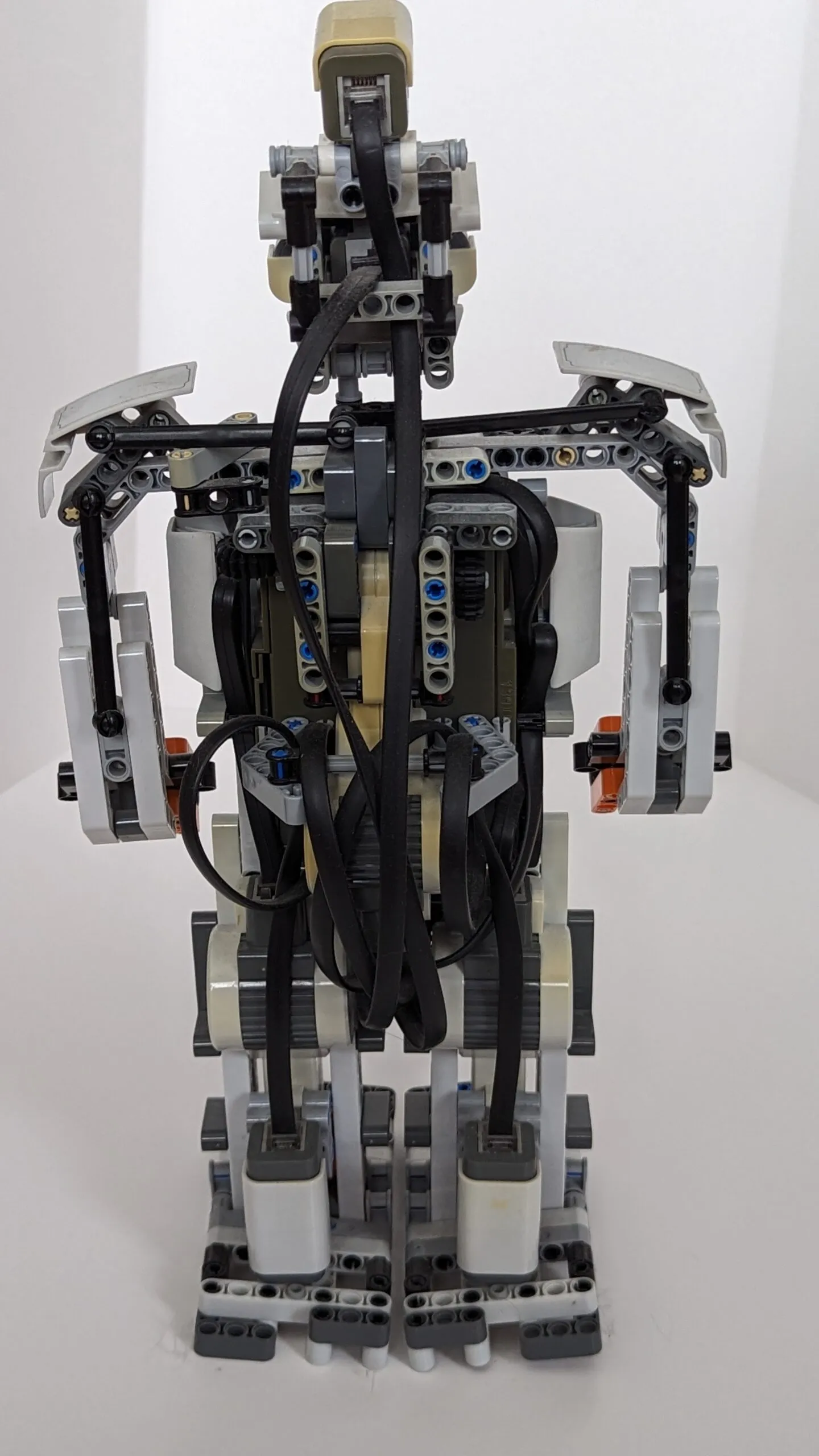 Beta Rex from behind, NXT cables braided down its back.