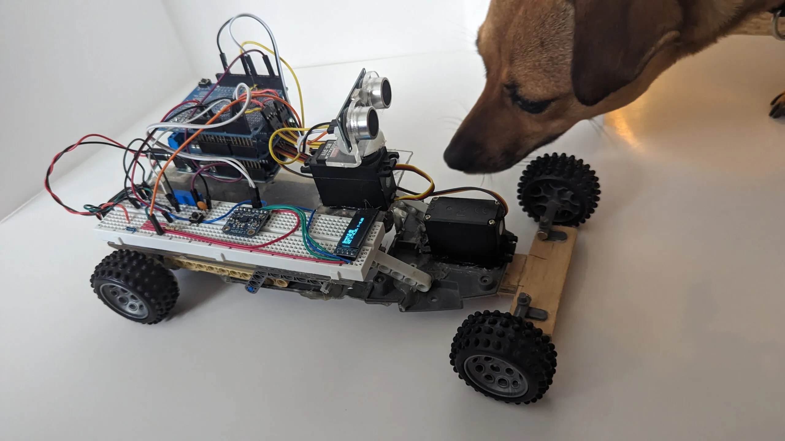 RoverBot getting a close sniff-inspection from the shop dog.