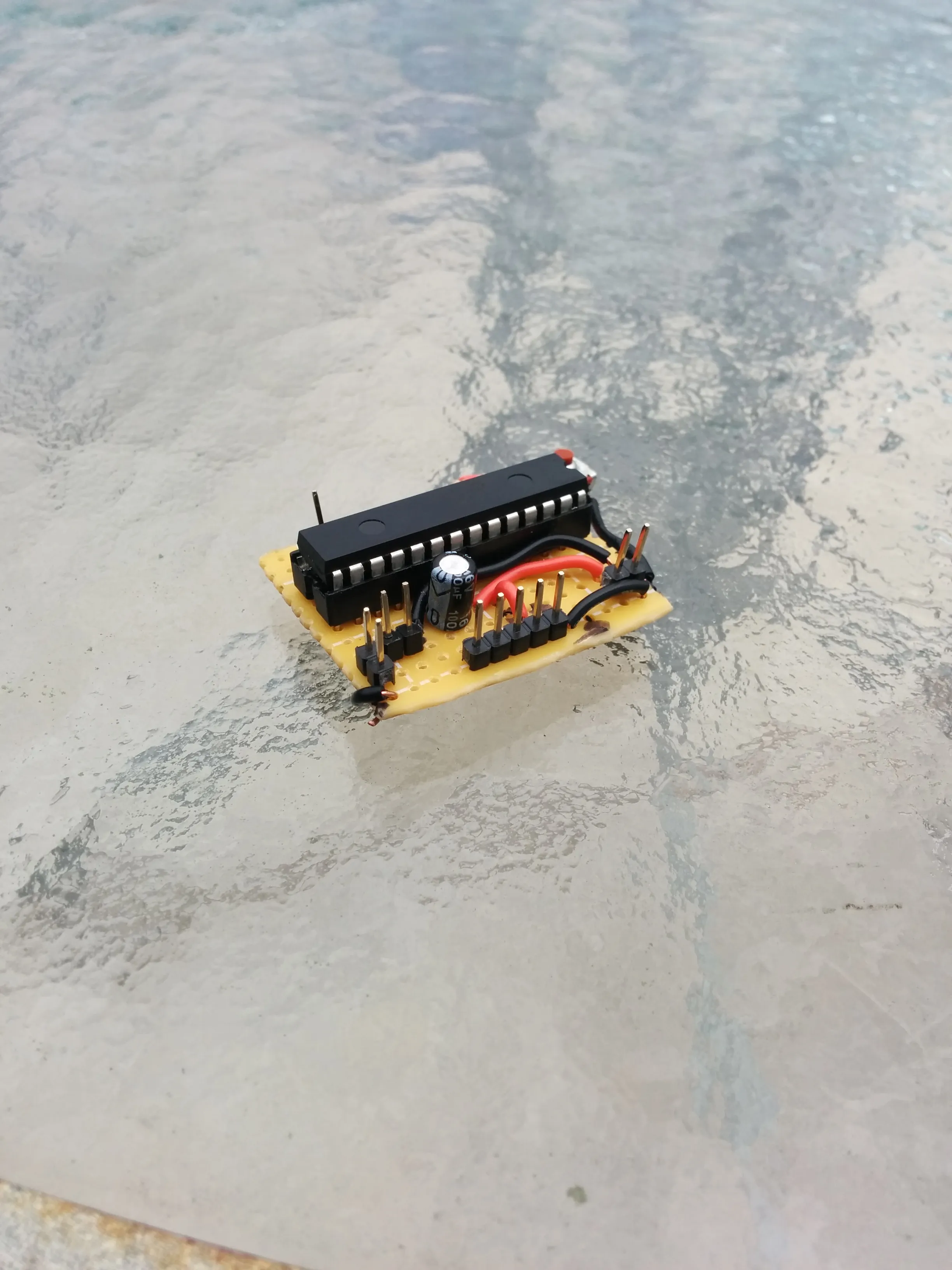 Triclops's controller: a PIC on perfboard with a lone electrolytic and header pins.