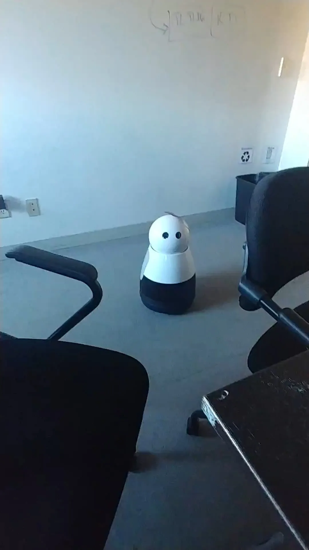 Robots in the Wild ~ A Kuri Roaming the Lab